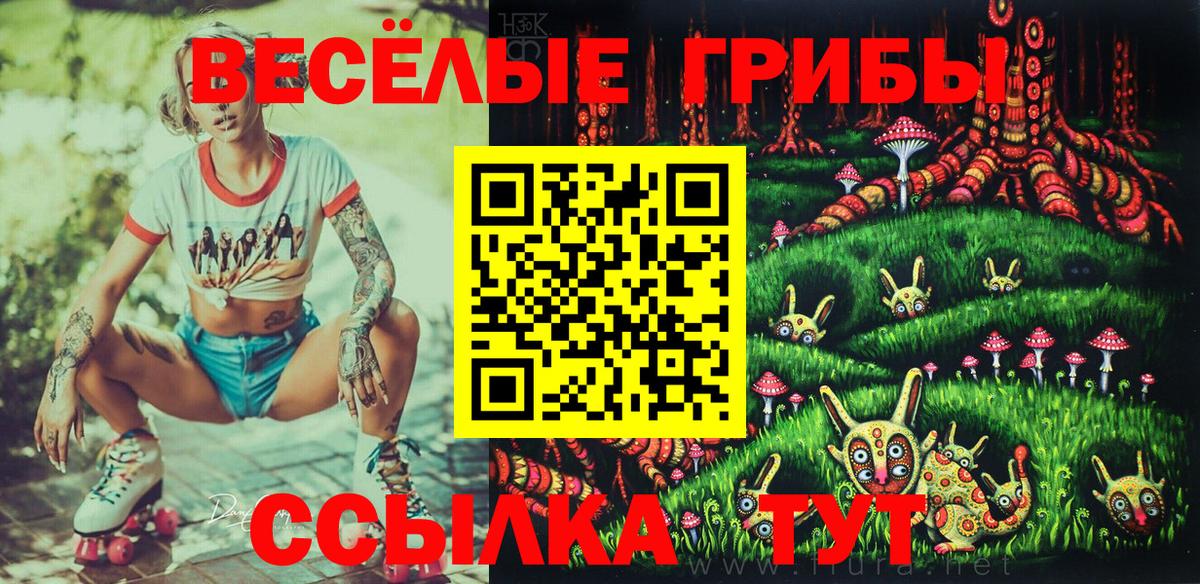 Ипатово  Псилоцибиновые грибы мицелий  Вход с VPN  Галлюциногенные грибы Psilocybine cubensis 